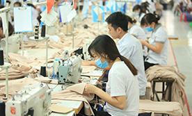 Ninh Bình đã có bước tiến vượt bậc về xuất khẩu qua 30 năm tái lập tỉnh