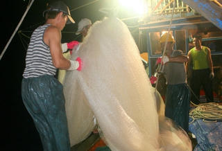 Bàn giao 2 trạm bờ liên lạc giúp ngư dân vững tâm bám biển