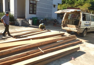 “Lâm tặc” nhảy khỏi ô tô, bỏ gỗ lậu chạy thoát thân