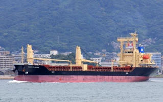 10 thuyền viên tàu Pacific Horse đã về nhà sau khi cách ly chống dịch Covid-19