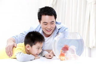 7 điều con trai cần ở bố