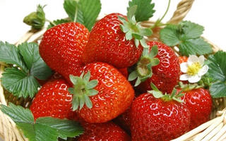 5 thực phẩm giúp Valentine thêm “hưng phấn“