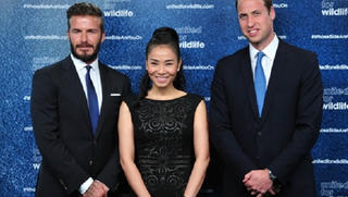 Thu Minh kể chuyện gặp David Beckham