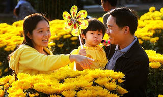 Náo nức mùa xuân