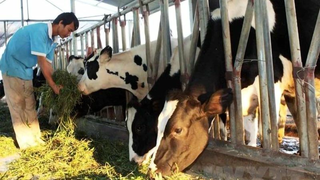 Công nhận Điều lệ Quỹ hỗ trợ hộ gia đình thu nhập thấp phát triển kinh tế