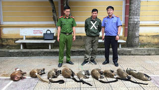 Bắt đối tượng mua động vật hoang dã về làm tiệc cưới