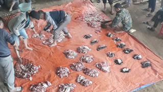 Cả bản 'đụng' thịt trâu giúp nhà cô dâu hoãn cưới phòng dịch Covid-19