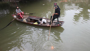 Bất lực đứng nhìn cá chép ông Táo vừa thả đã bị chích điện ngắc ngoải