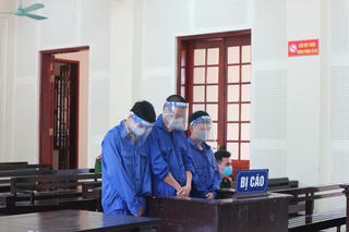 Trộm trâu bò, nhóm trai bản vào tù