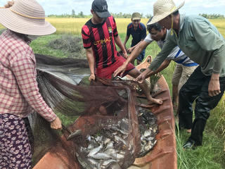 Chụp đìa bắt cá - nét văn hóa đặc thù của nông dân Cà Mau 