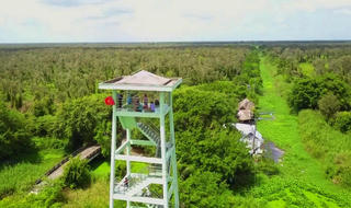 Chủ động công tác phòng, chống cháy rừng Vườn Quốc gia U Minh Hạ