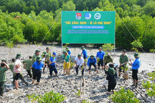 Khởi động Tháng thanh niên: Trồng 3.000 cây đước tại Mũi Cà Mau