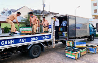 Phát hiện gần 600kg tôm chứa tạp chất tại Bạc Liêu