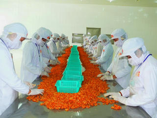 Cà Mau thông qua dự thảo Kế hoạch tổ chức Festival Tôm