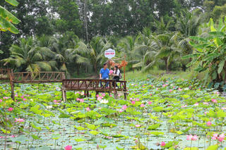 Sự kiện “Hương rừng U Minh” diễn ra từ ngày 26/4 đến 30/4