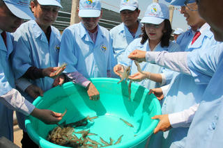 Bạc Liêu phát huy tiềm năng, lợi thế của ngành kinh tế mũi nhọn