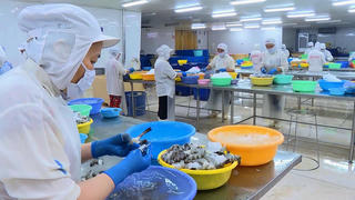 Tổ công tác đặc biệt Cà Mau gỡ khó cho doanh nghiệp để phát triển