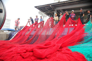 Xây dựng Cà Mau thành trung tâm kinh tế biển, chế biến thủy sản và năng lượng tái tạo 