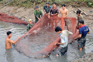 VietShrimp 2024 'đồng hành cùng người nuôi tôm'