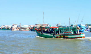 Cà Mau gấp rút triển khai Kế hoạch đón đoàn Thanh tra EC về IUU