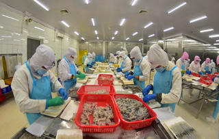 Xây dựng Bạc Liêu trở thành Trung tâm ngành công nghiệp tôm của Việt Nam 