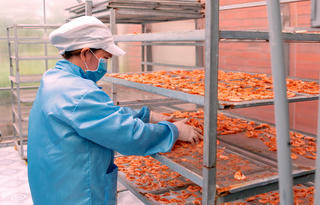 Nghề làm tôm khô và Lễ hội vía Bà Thuỷ Long được công nhận là Di sản văn hoá phi vật thể quốc gia