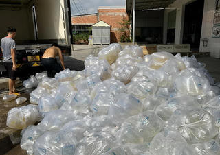 Bạc Liêu: Bắt quả tang gần 1,5 triệu con tôm giống không rõ nguồn gốc 