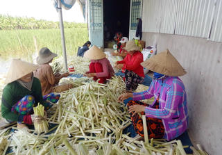 Bảo tồn và phát triển làng nghề ở Cà Mau