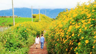 Lên rừng hay xuống biển hậu Covid – 19: Cơ hội hiếm có cho những điểm đến mới
