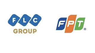 Lãnh đạo cấp cao FLC - FPT bàn cơ hội hợp tác
