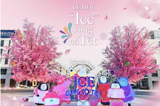 Khám phá 'Hoa Ánh Sáng' tại Ice Jungle Phú Quốc 