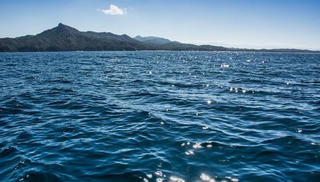 Nghị sỹ Đức khẳng định đưa vấn đề Biển Đông ra Quốc hội liên bang Đức