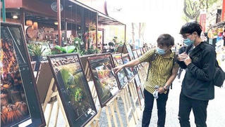 Triển lãm  “Mừng xuân Tân Sửu - Mừng Đảng quang vinh“