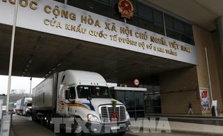 Hơn 14.000 tấn thanh long đã được xuất khẩu sang Trung Quốc