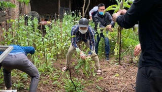 Trồng cây thuốc phiện ngay giữa Thủ đô để ngâm rượu