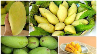 5 tháng đầu năm, xuất khẩu sang thị trường Trung Quốc 2,5 triệu tấn trái cây tươi