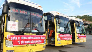 Lào Cai đón hơn 170 lao động trở về từ vùng dịch Bắc Giang