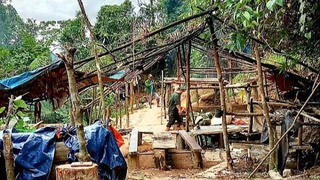 Thừa Thiên Huế: Khai thác vàng trái phép giữa lõi rừng phòng hộ 