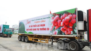 Ưu tiên lưu thông nhanh chóng xe chở vải thiều từ Bắc Giang
