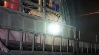 Gần 20 người trốn trong xe tải chở lợn để "né" chốt kiểm soát dịch