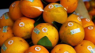 Hưng Yên xúc tiến thương mại tiêu thụ nông sản 