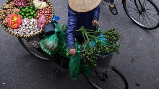 Sẽ hỗ trợ nhóm đối tượng lao động tự do bị ảnh hưởng bởi dịch COVID-19
