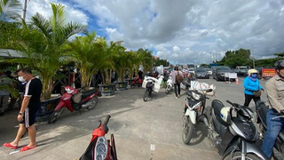 Sẽ kiểm tra việc dừng tiếp nhận người và phương tiện qua cầu Đá Bạc từ 0h ngày 7/8