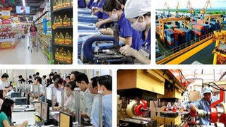 Tiếp tục rà soát, sửa đổi, bổ sung quy định pháp luật gây vướng mắc trong đầu tư kinh doanh