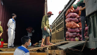 Đường sắt vận chuyển 300 tấn hàng hoá Sơn La, Bắc Kạn hỗ trợ miền Nam chống dịch