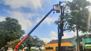 Công ty CP công trình đô thị Gia Lai 'cố hết sức mình làm cho thành phố Sáng - Xanh - Sạch - Đẹp'