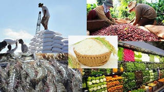 Thủ tướng Chính phủ chỉ đạo không để ách tắc trong sản xuất, lưu thông hàng hóa, tiêu thụ nông sản