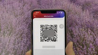 Thống nhất một app chống dịch, quản lý di biến động của dân theo màu