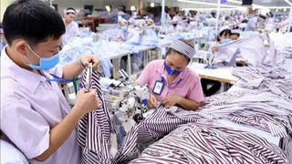 Có thể cung cấp khoảng 200.000 lao động mới nếu thị trường lao động "căng thẳng"