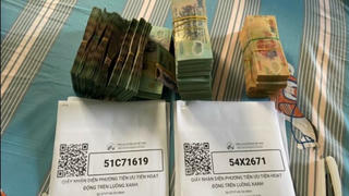 Tham nhũng được kiềm chế nhưng phát sinh một số tội phạm tham nhũng về chống dịch